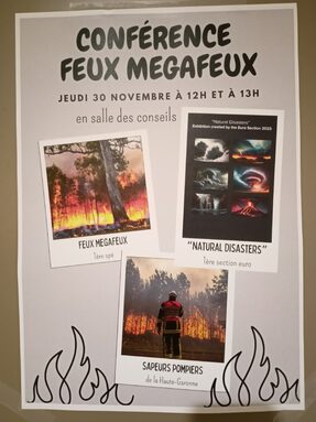 Affiche.jpg